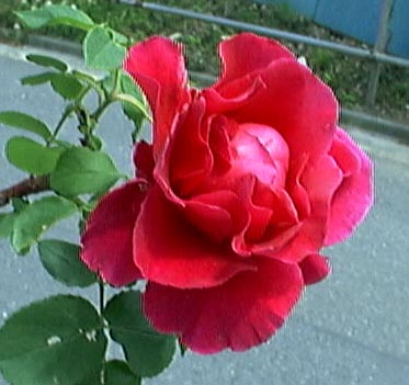 ΂